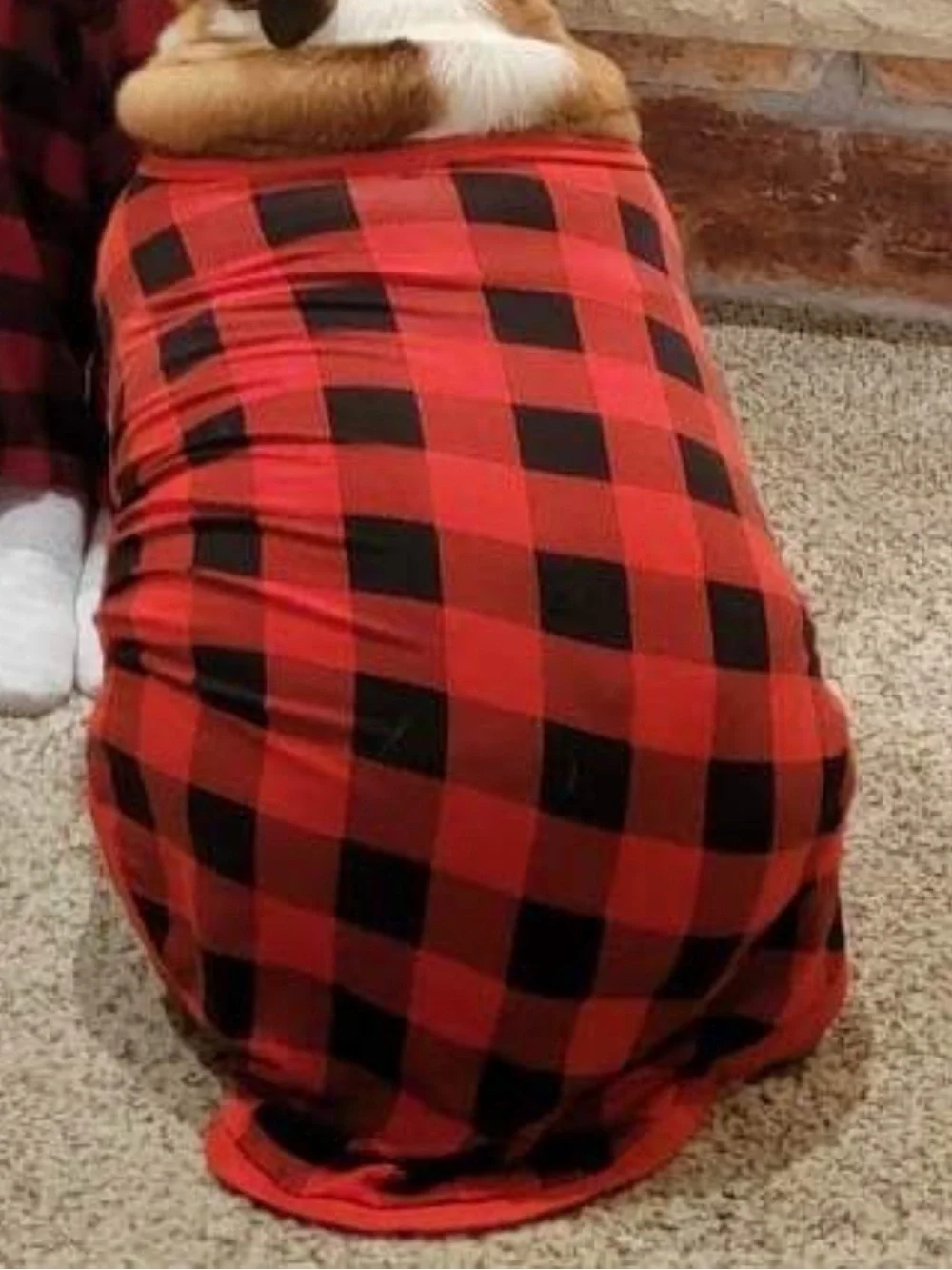 Red & Black Buffalo Plaid Dog Tee - Cozy Velcro closure C33